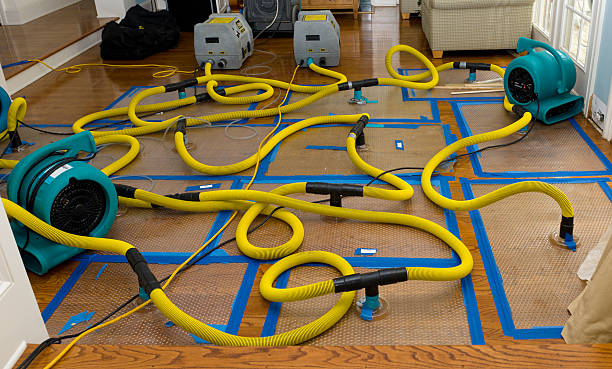Professional Structural Drying And Dehumidification technician working in Union, WA